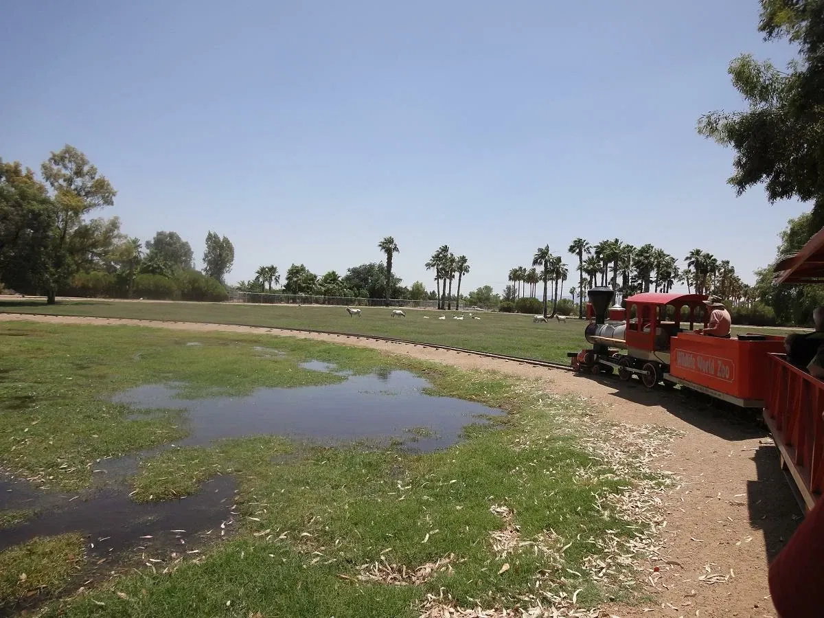 Tickets, Prices & Discounts Wildlife World Zoo (Litchfield Park)