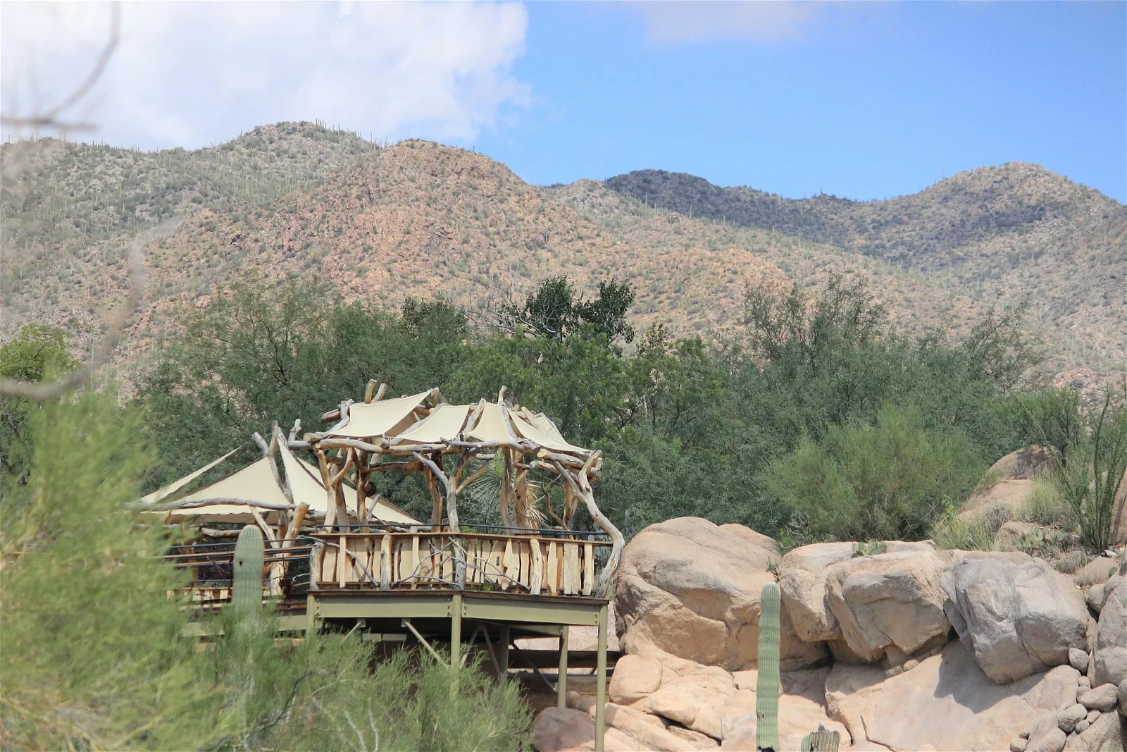 Arizona-Sonora Desert Museum