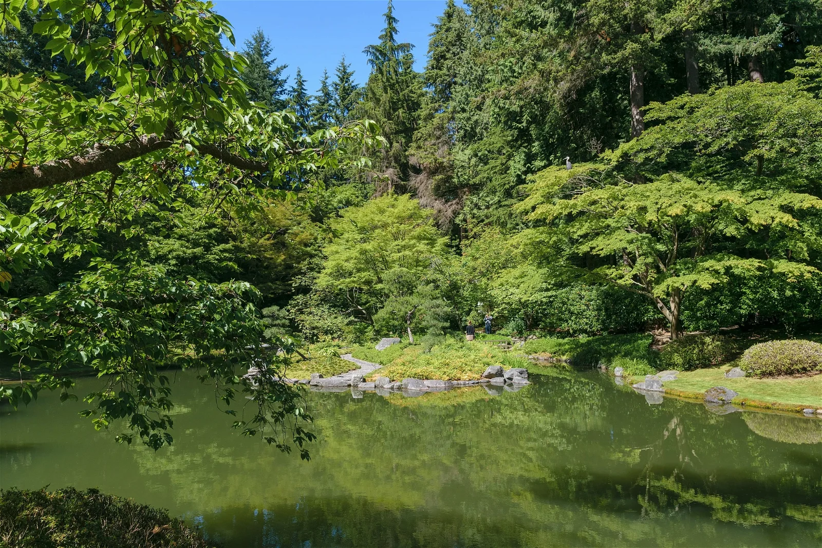 Nitobe Memorial Garden