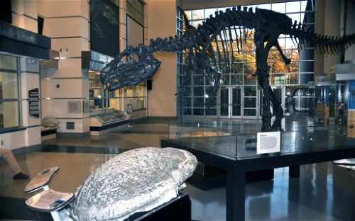 Virginia Museum of Natural History