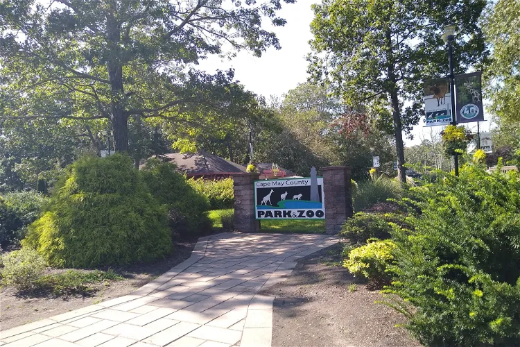 Tickets Prices Discounts Cape May County Park Zoo (Cape May Tickets Prices Discounts Cape May County Park Zoo (Cape May
