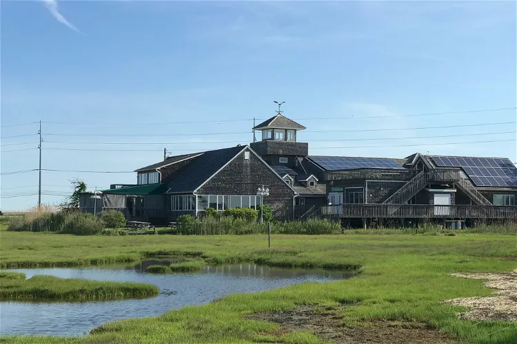 The Wetlands Institute