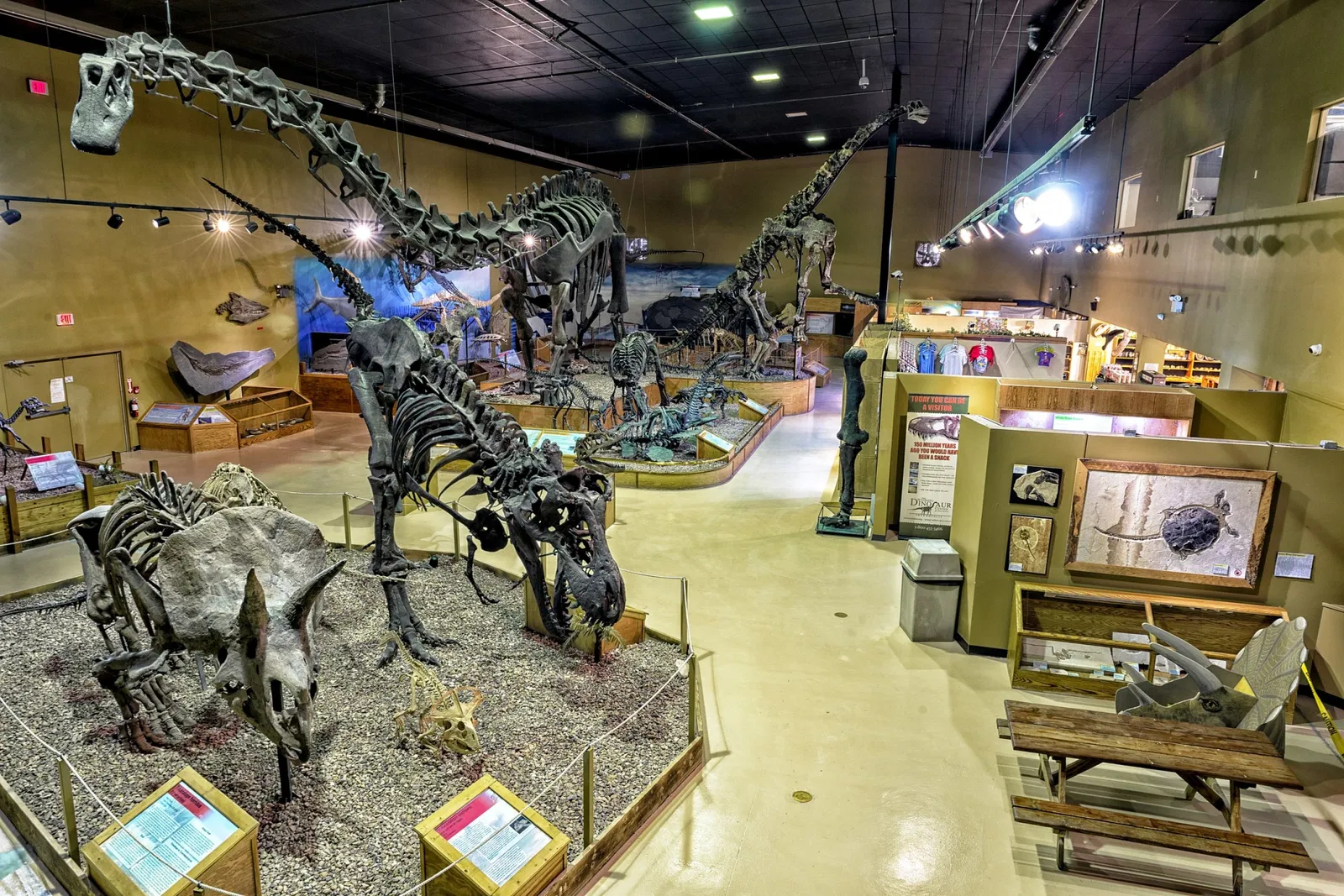 Wyoming Dinosaur Center (East Thermopolis) Visitor Information & Reviews