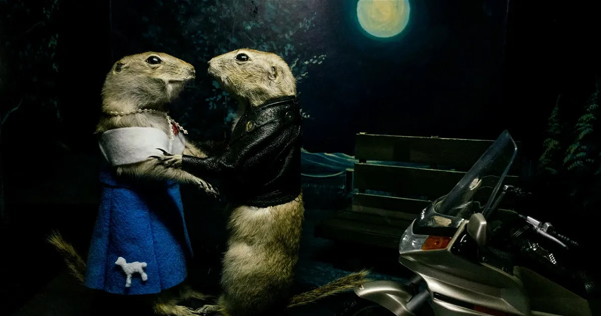World Famous Gopher Hole Museum (Torrington) - Visitor Information ...