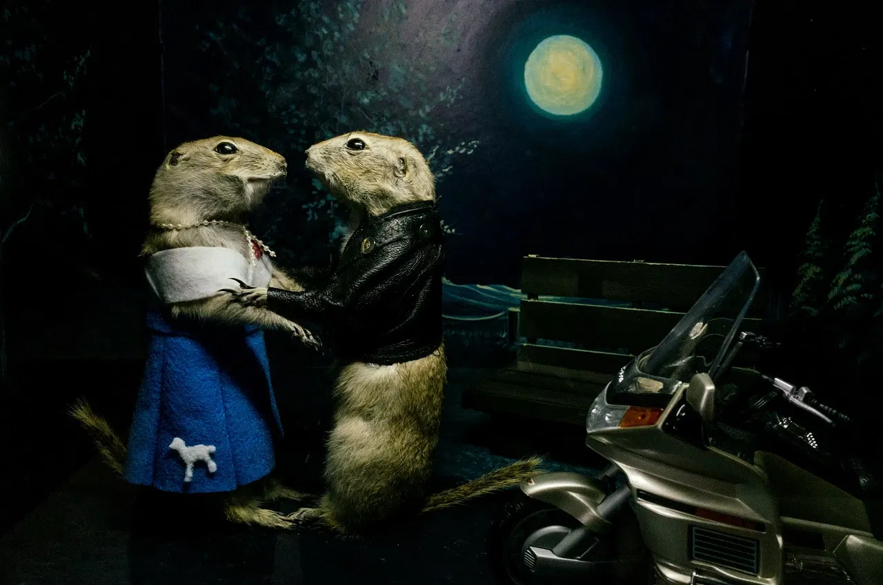 World Famous Gopher Hole Museum