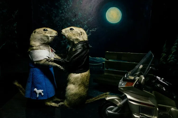 World Famous Gopher Hole Museum