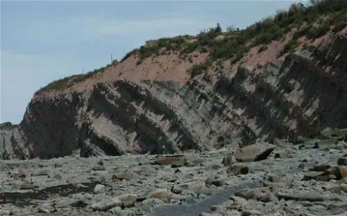 Joggins Fossil Centre