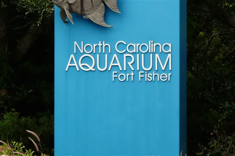 North Carolina Aquarium At Pine Knoll Shores