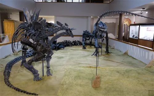 USU Eastern Prehistoric Museum