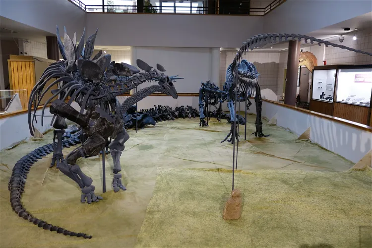 USU Eastern Prehistoric Museum
