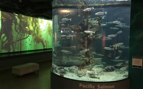 Shaw Centre for the Salish Sea