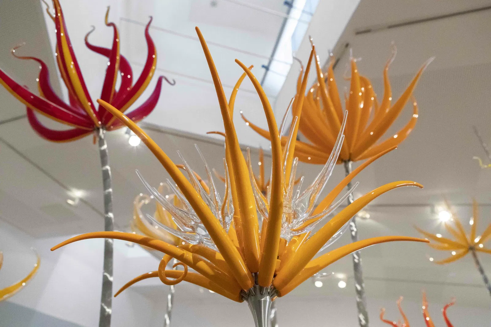 Neil Wilkin & Rachael Woodman // Harvest: Fruit Gathering