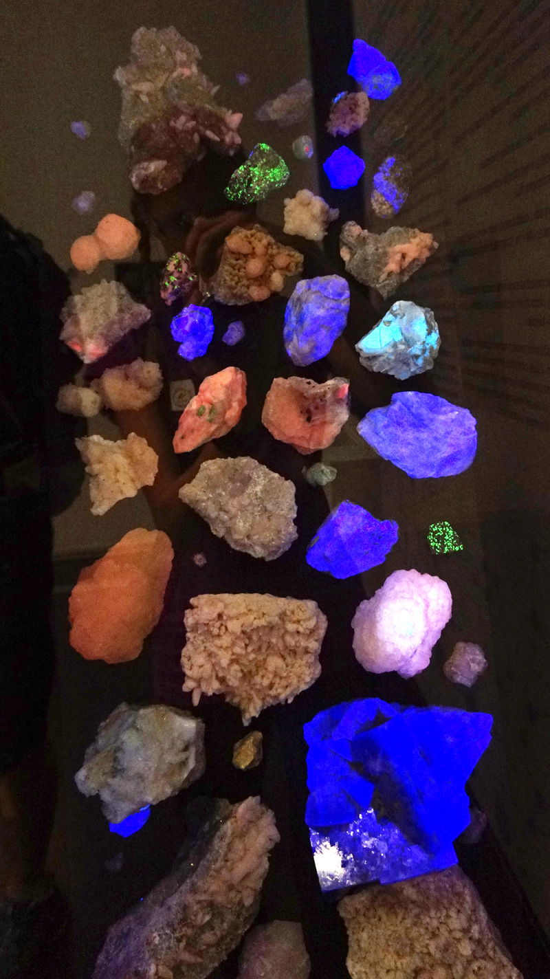 Grigore Antipa National Museum of Natural History