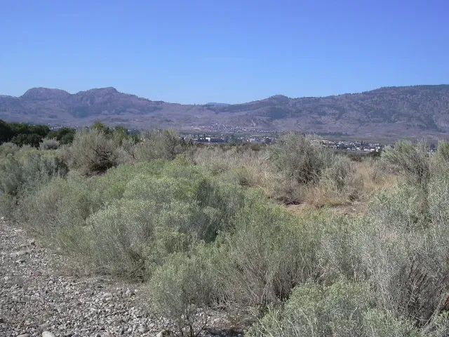 Deserto di Okanagan