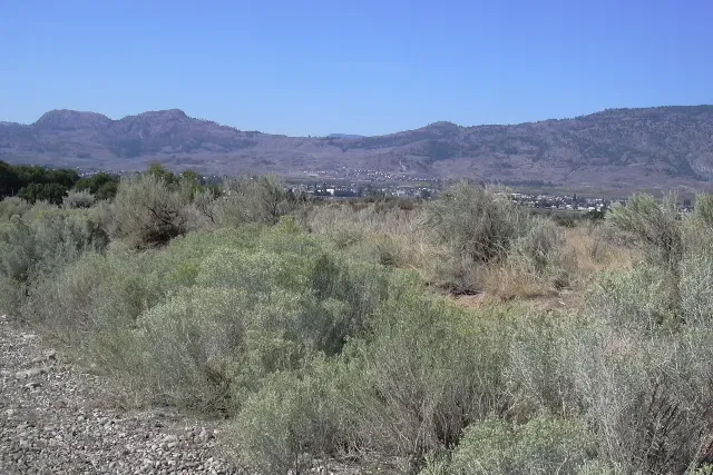 Deserto di Okanagan