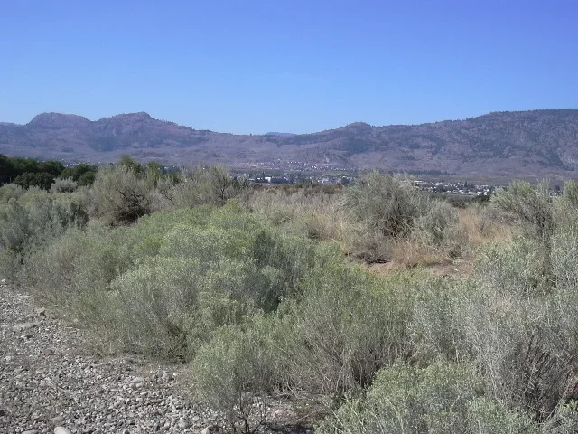 Osoyoos Desert Centre