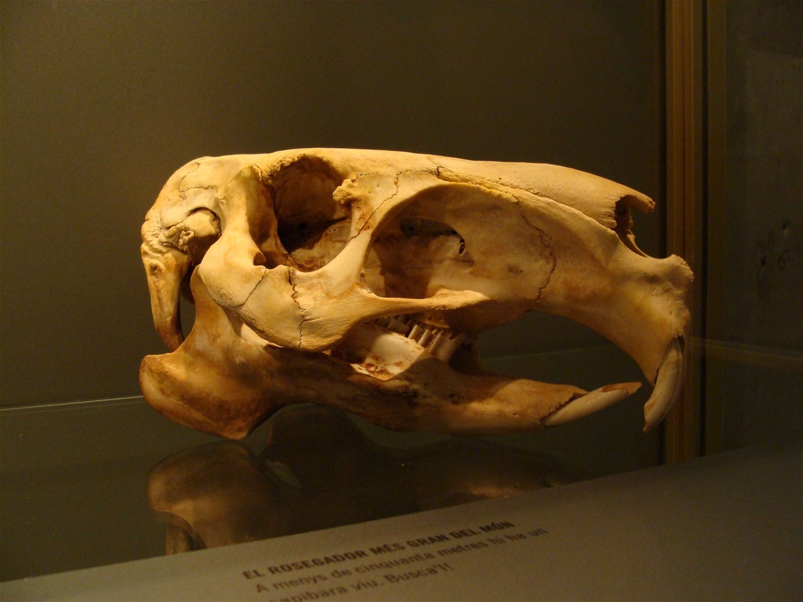 CosmoCaixa Barcelona