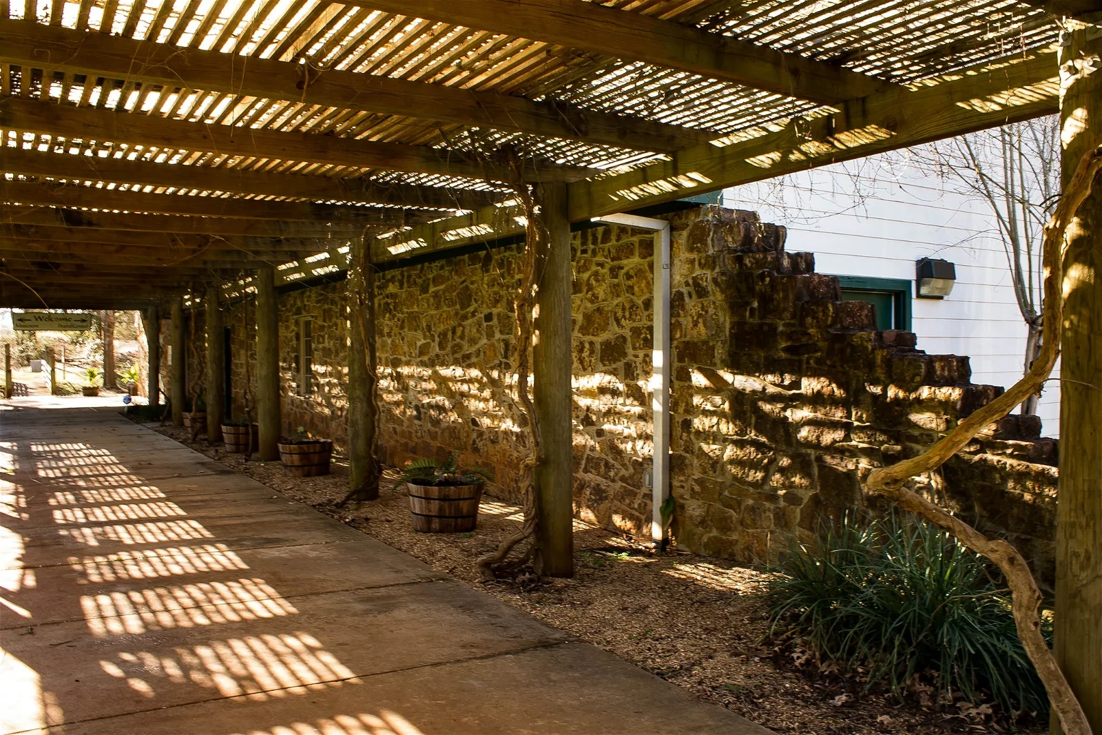 Mission Dolores State Historic Site