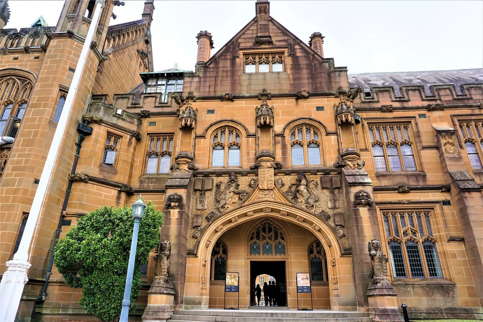 Nicholson Museum
