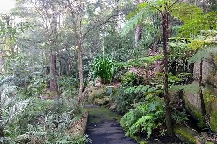Joseph Banks Native Plants Reserve