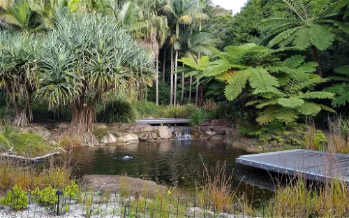 Australian Botanic Garden