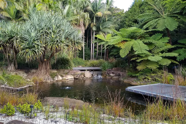 Australian Botanic Garden