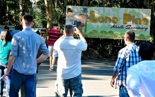 Lone Pine Koala Sanctuary