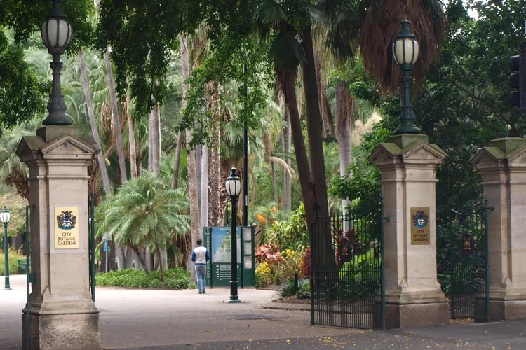 Jardín botánico de la ciudad de Brisbane