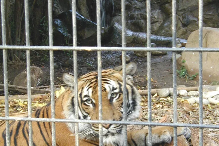 Central Coast Zoo