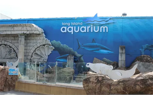 Penguin Encounter - Long Island Aquarium