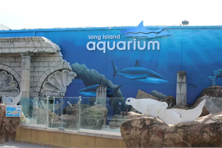Penguin Encounter - Long Island Aquarium