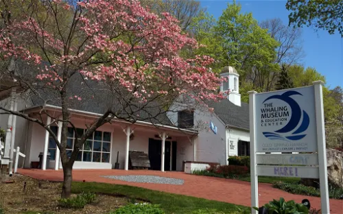 The Whaling Museum
