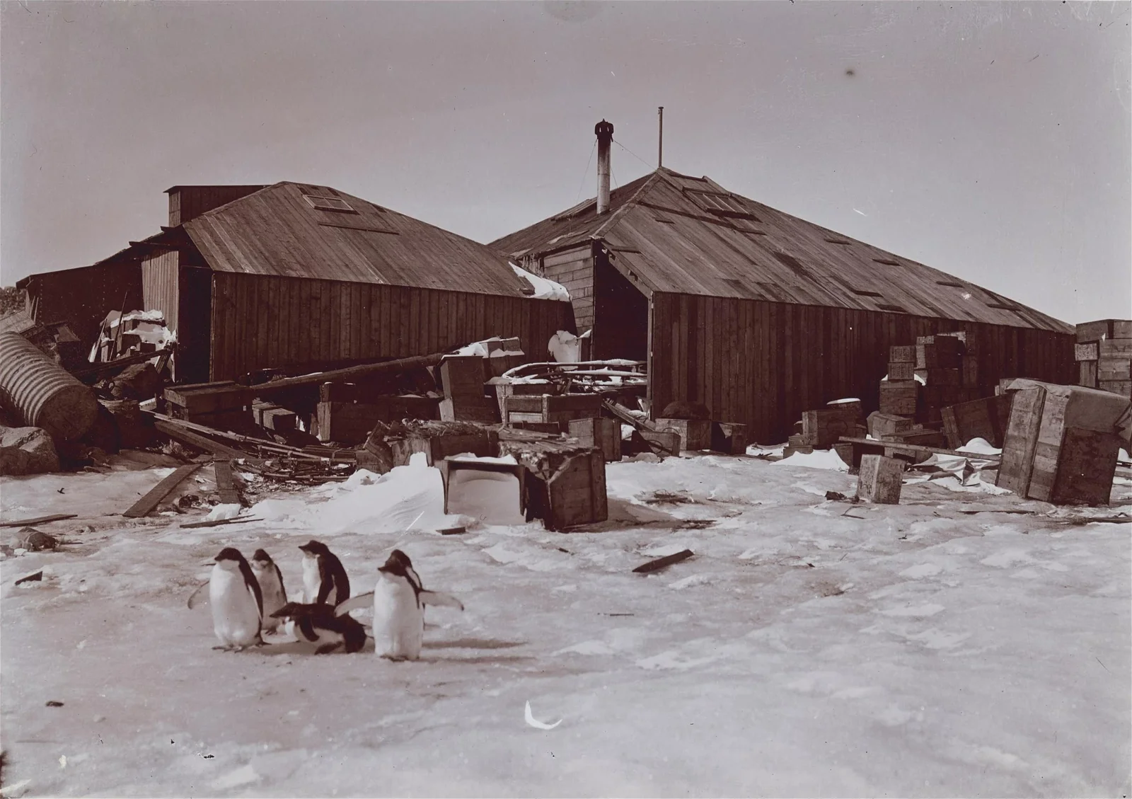 Mawson’s Huts Replica Museum