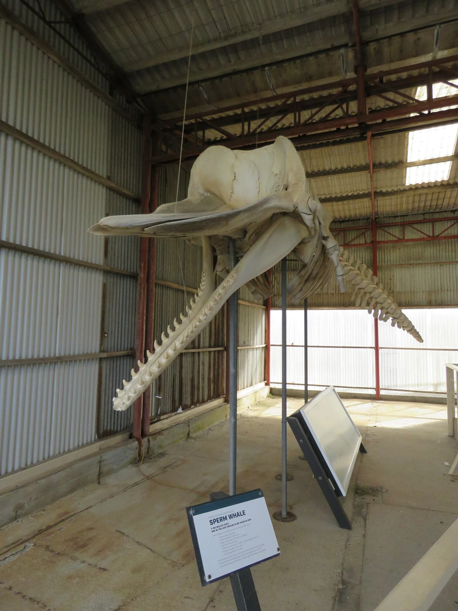 Albany’s Historic Whaling Station