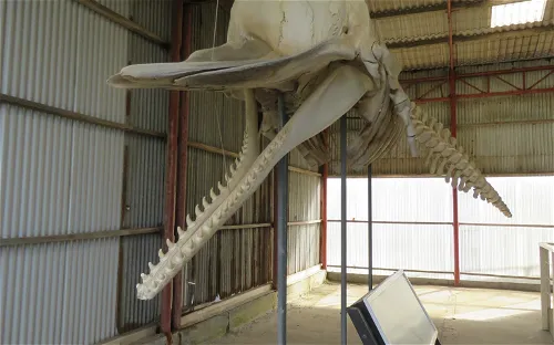 Albany’s Historic Whaling Station