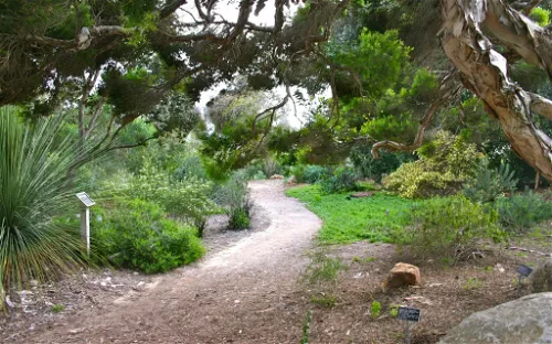 San Diego Botanic Garden