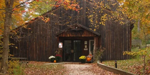 Power of Perspective: 2024 art exhibit continues in August