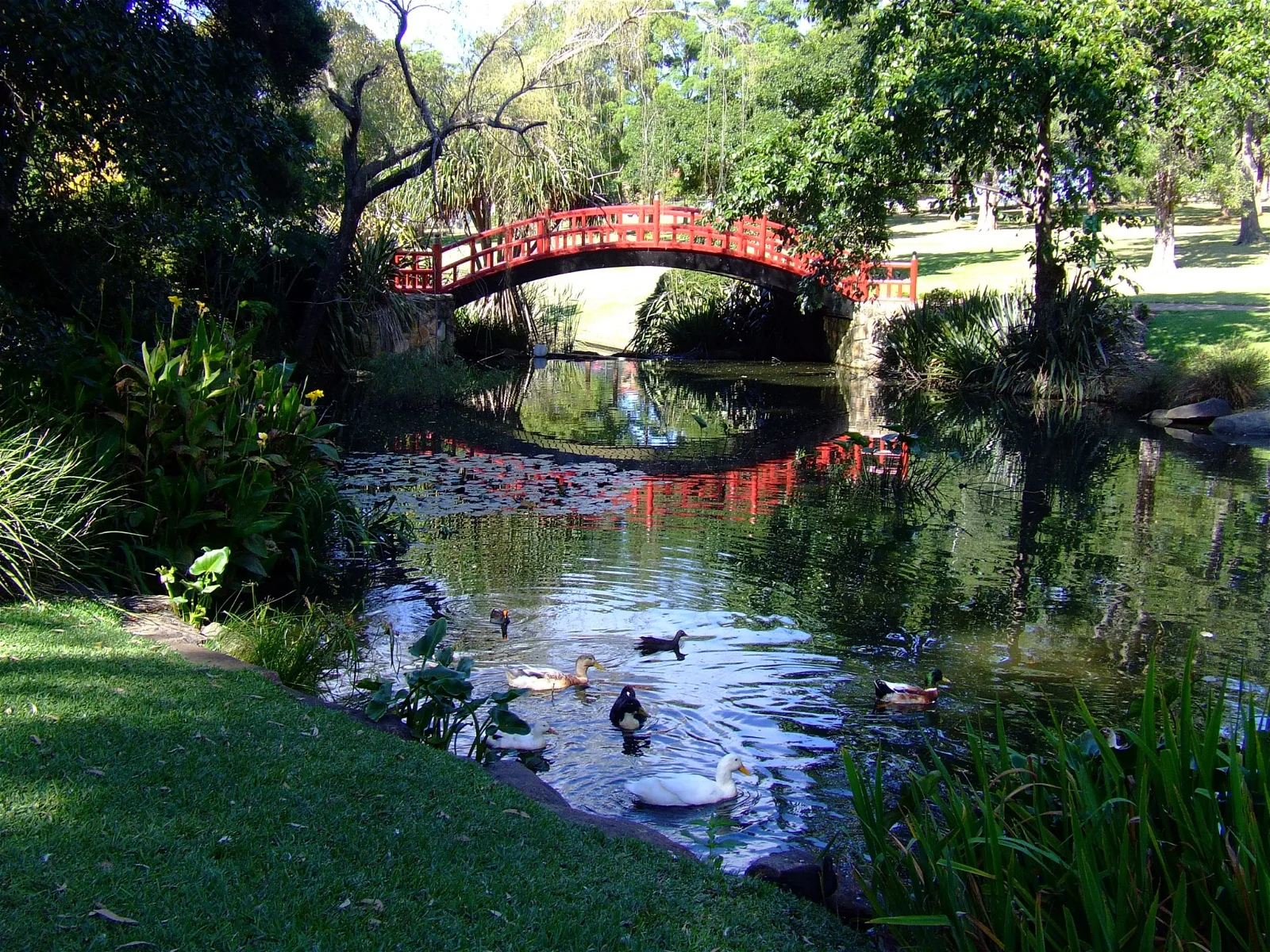 Wollongong Botanical Gardens