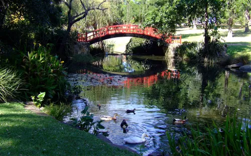 Wollongong Botanical Gardens