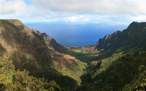 Hui o Laka - Kokee State Park