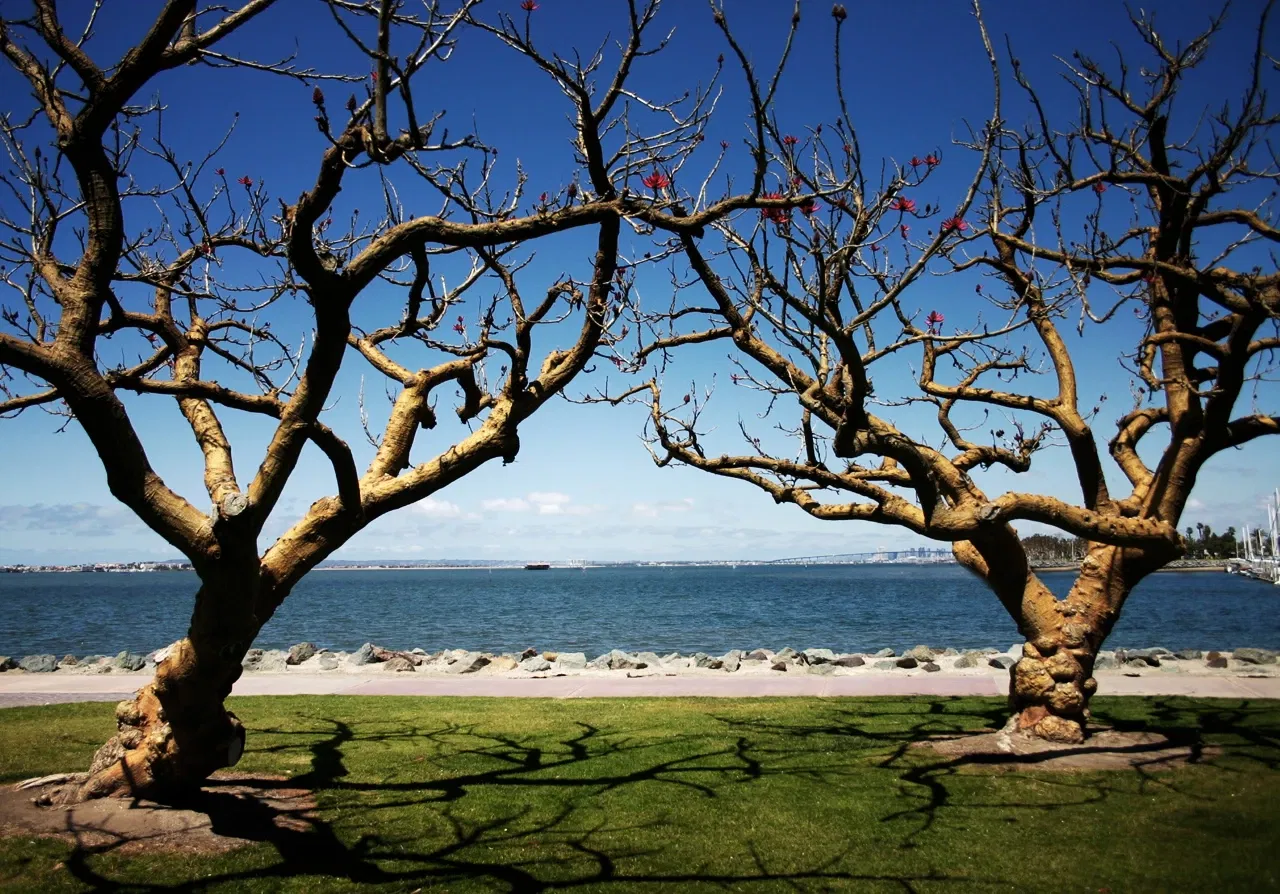 Chula Vista: Discover all 3+ Museums, Exhibitions & Discounts
