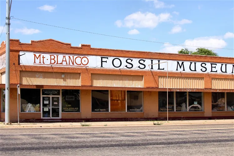 Mt. Blanco Fossil Museum
