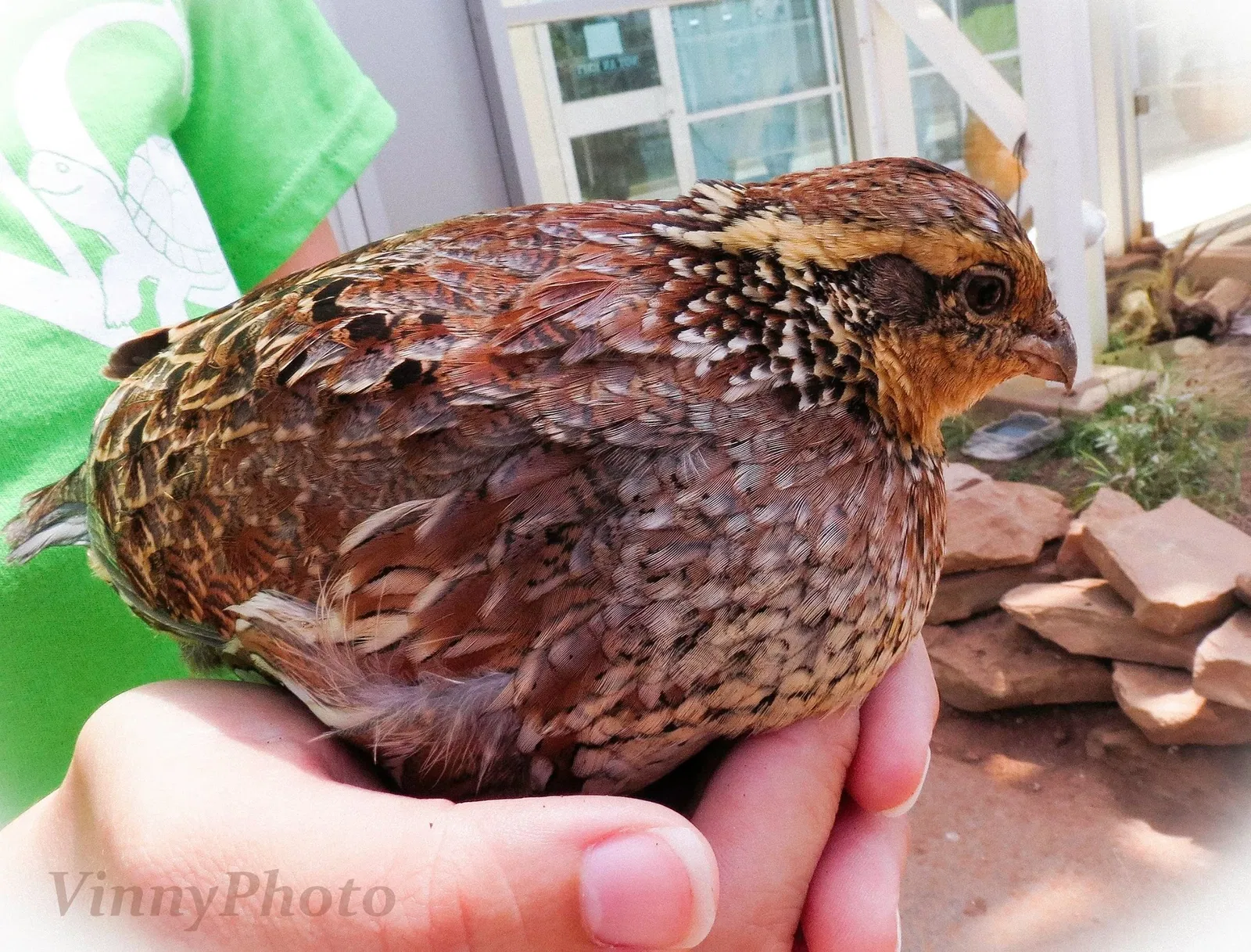 River Bend Nature Center