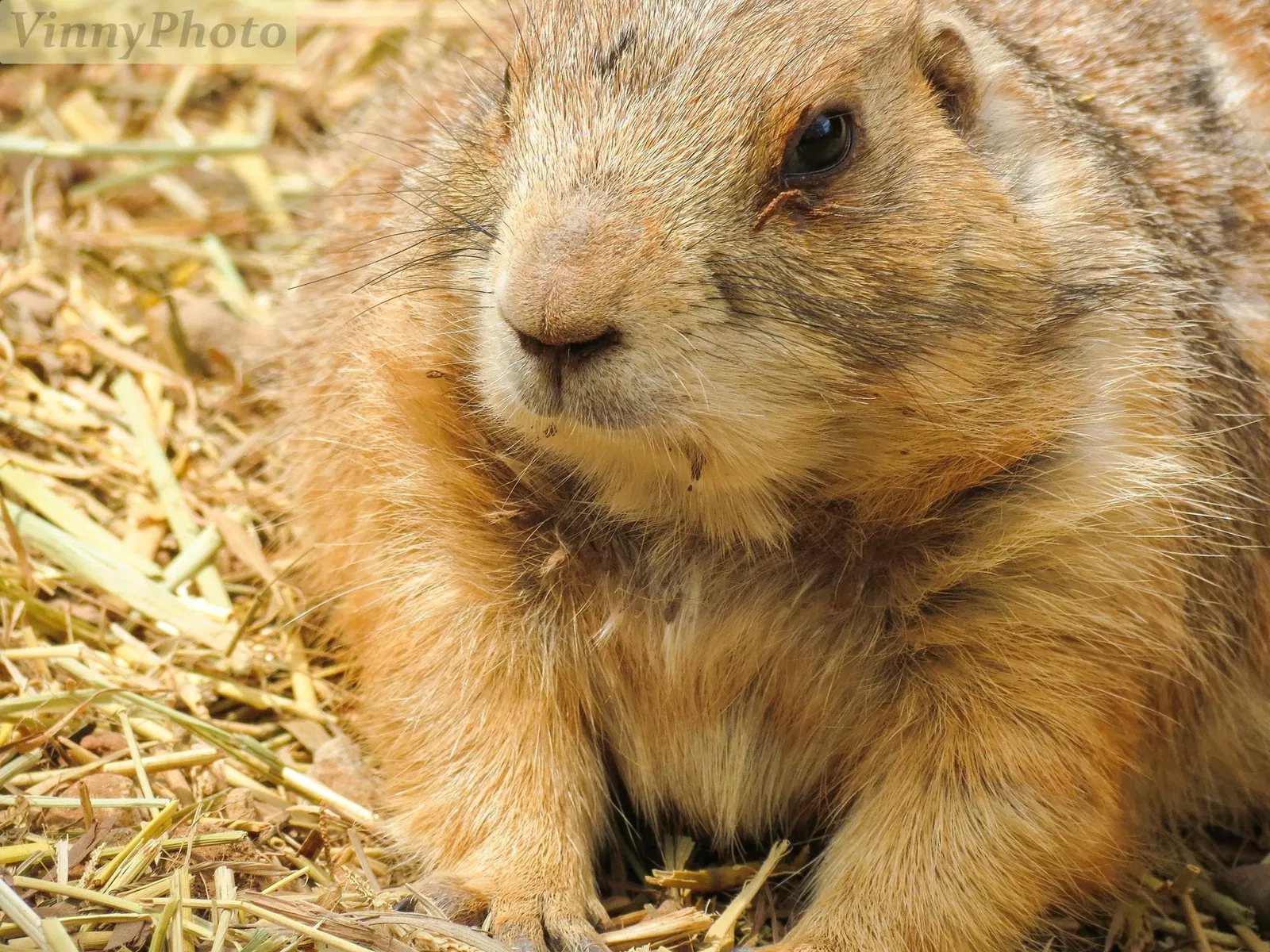 River Bend Nature Center