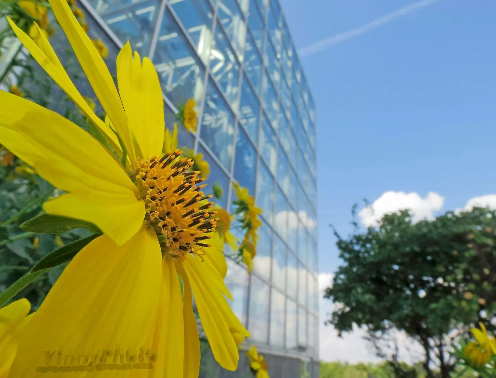 River Bend Nature Center