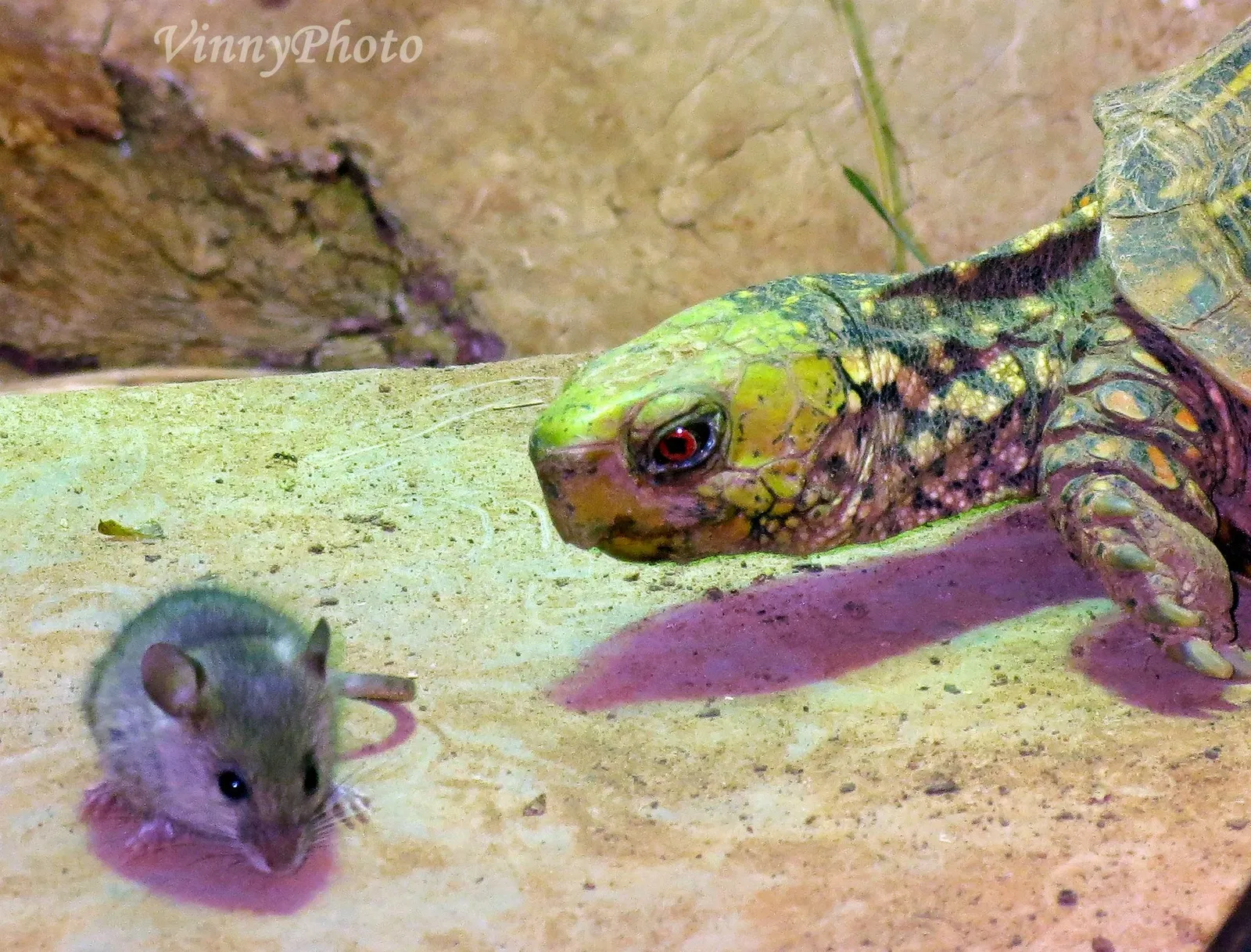 River Bend Nature Center
