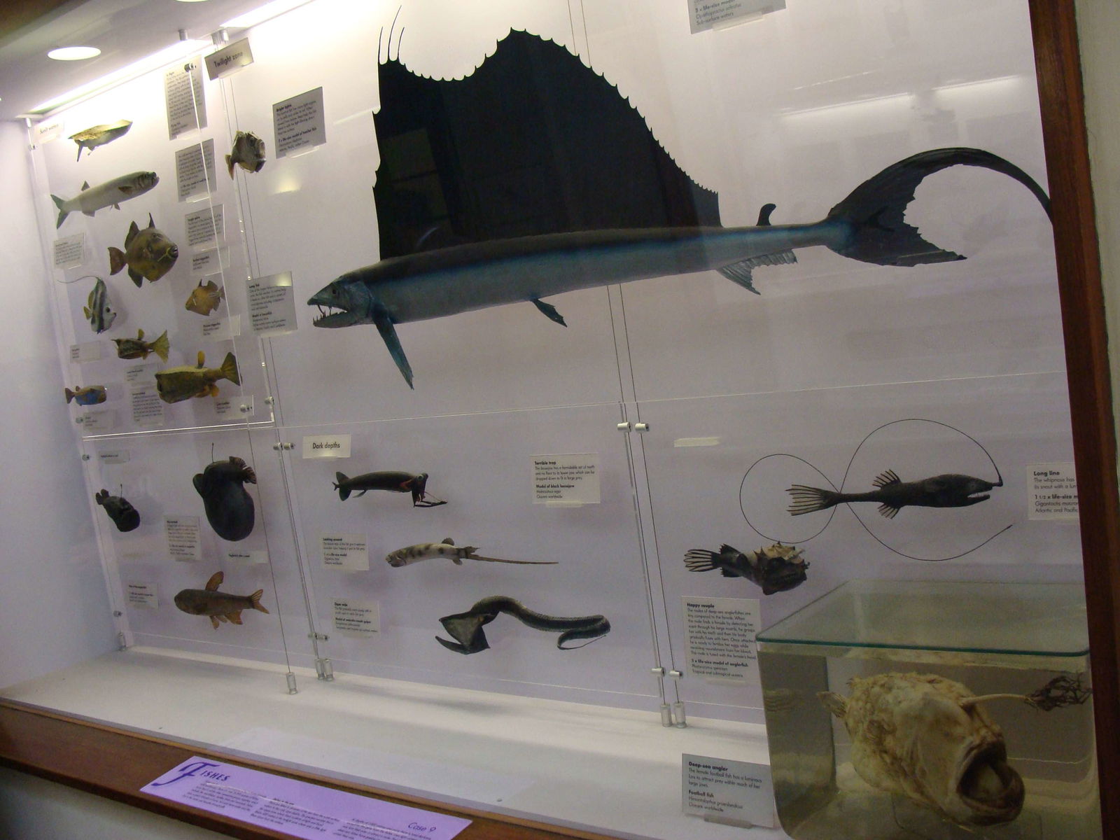 Natural History Museum