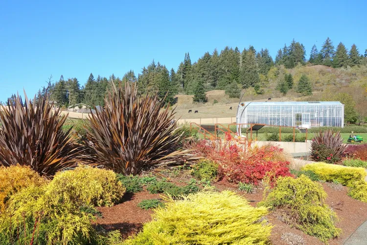 Jardín botánico Humboldt