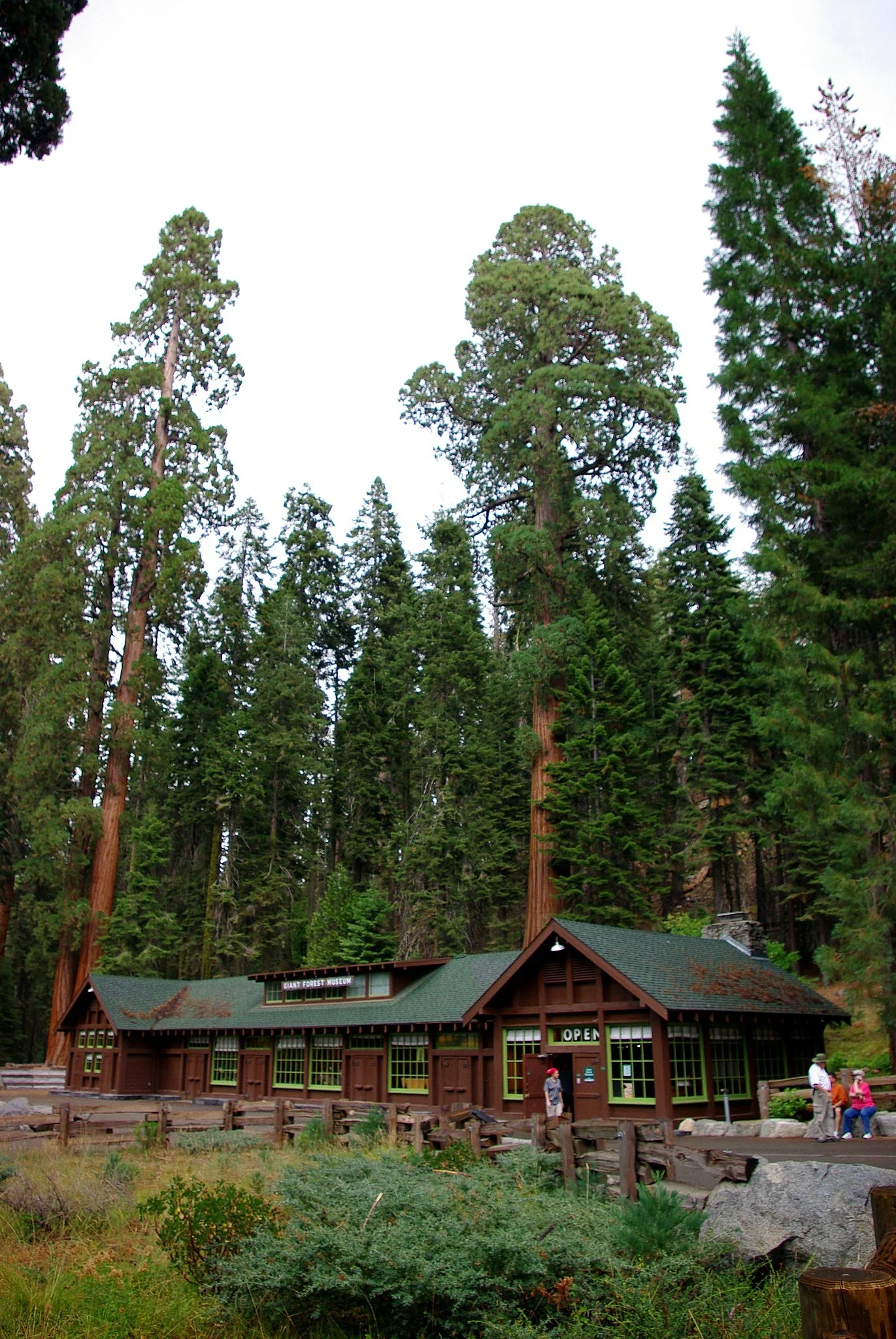 Giant Forest Museum