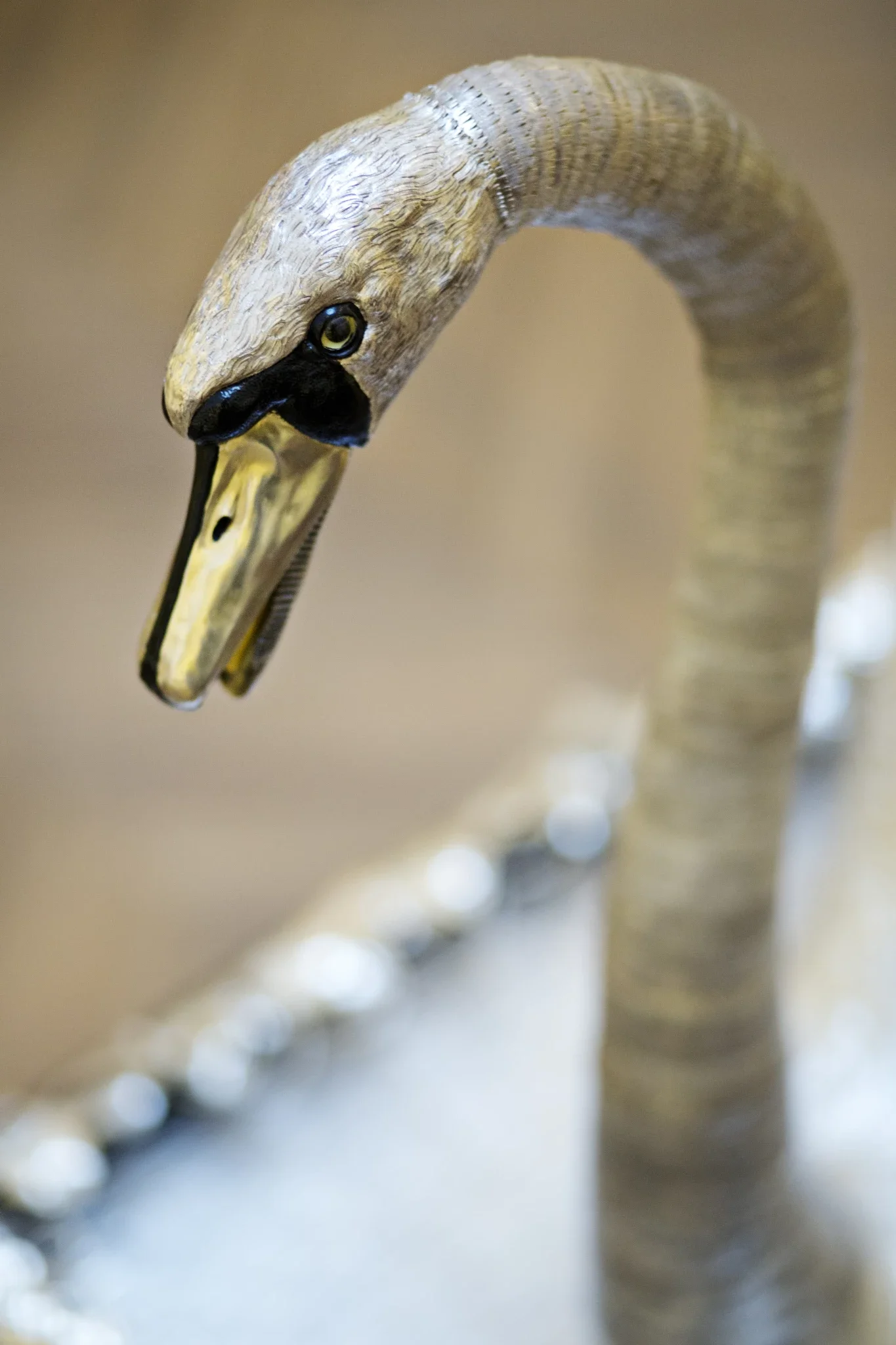 Movement:  Celebrating 250 years of the world's most famous Silver Swan